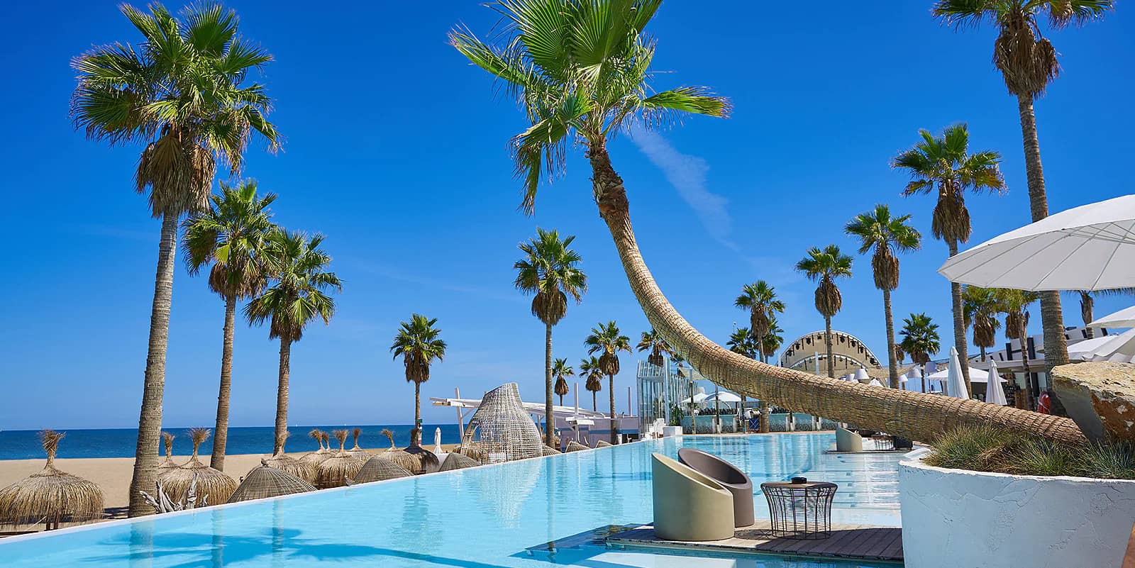 Luxury Swimming Pool with Coconut Trees